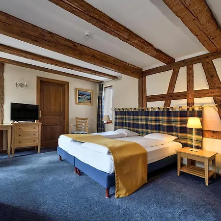 Schwendi Hotel 3*