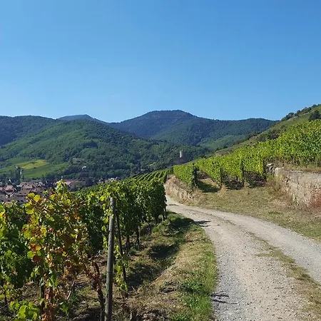 Schwendi 3* Kientzheim