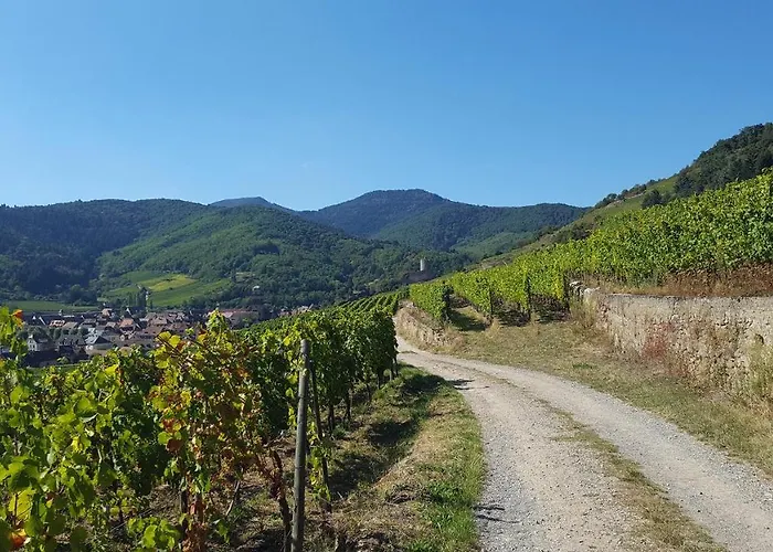 Schwendi 3* Kientzheim